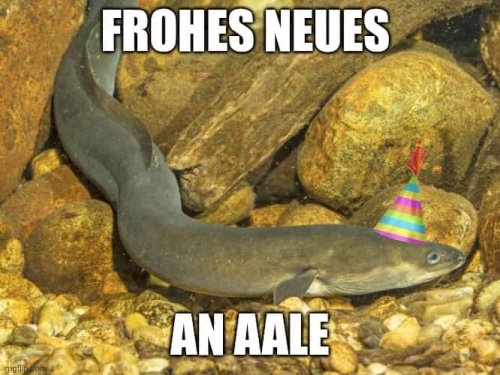 Picdump Nr. 846 (TrendMutti.com)