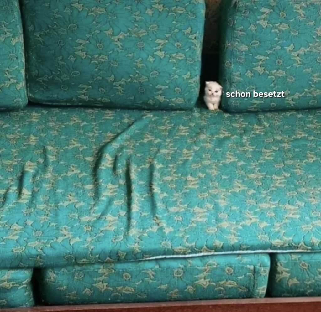 Picdump Nr. 895 (LangweileDich.net)