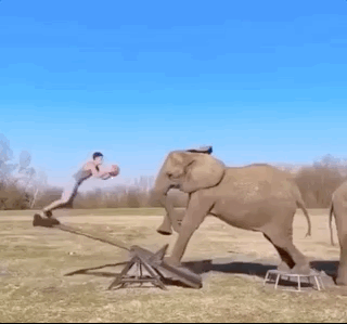 Gifdump Nr. 260123 (Barnorama.com)