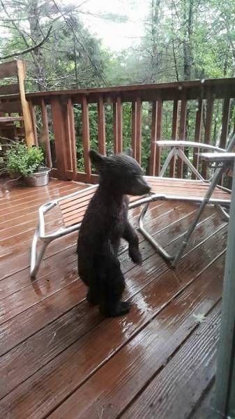 Picdump Nr. 251230 (Barnorama.com)