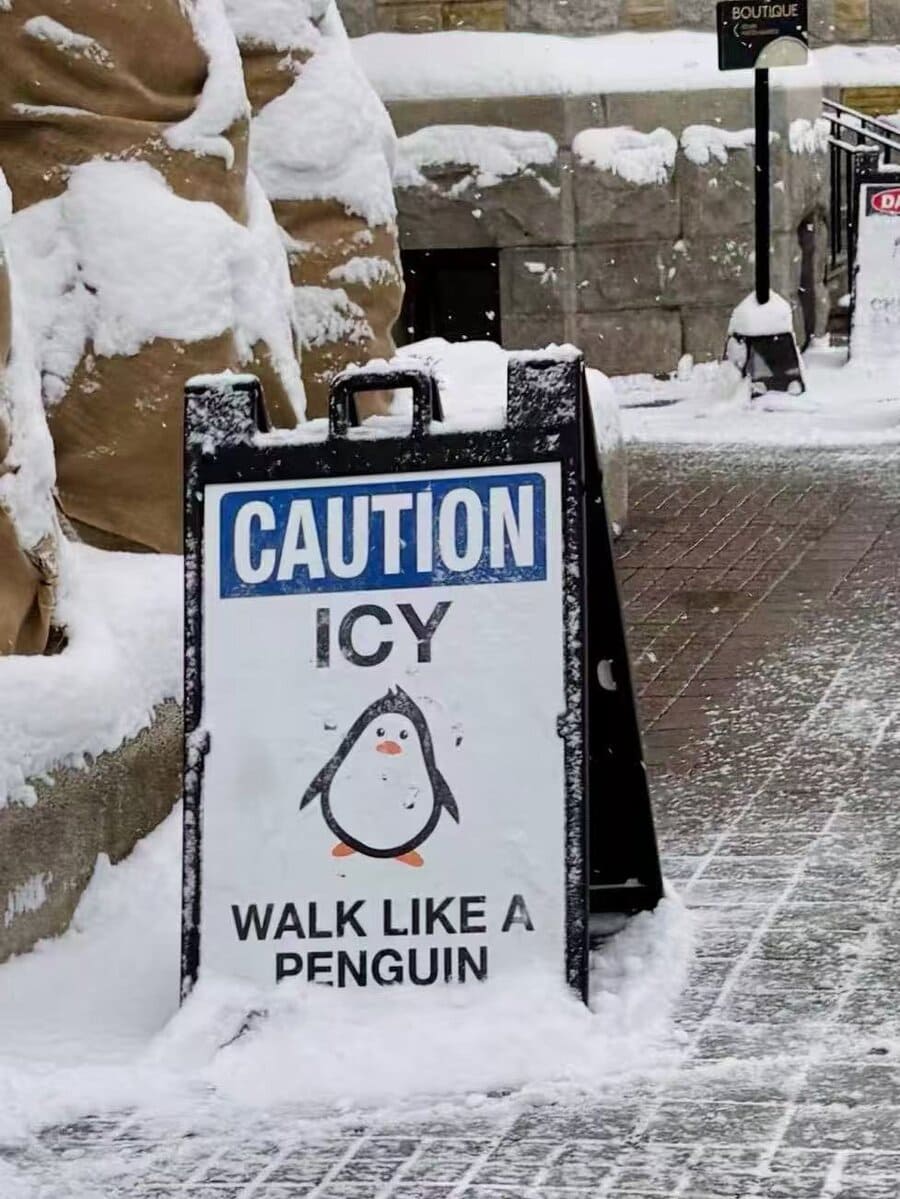 Picdump Nr. 260109 (Pleated-Jeans.com)