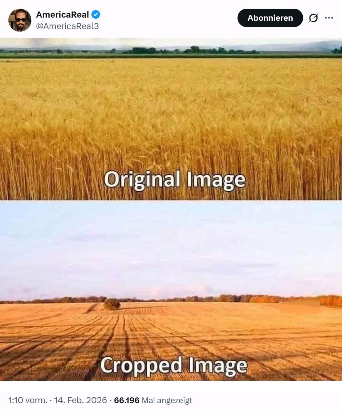 Picdump Nr. 900 (LangweileDich.net)