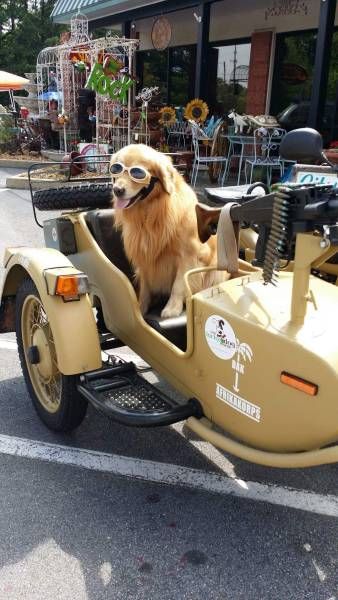 Picdump Nr. 260206 (Barnorama.com)