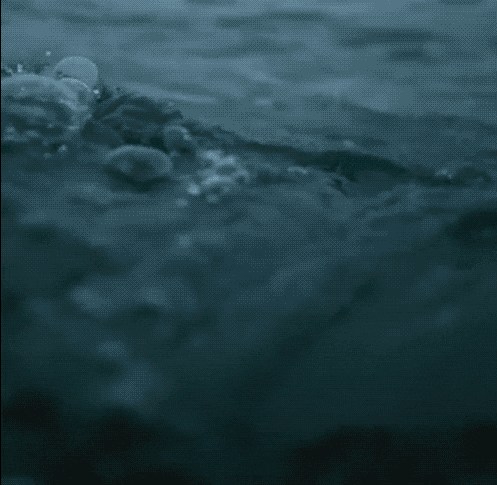 Gifdump Nr. 260211 (Barnorama.com)