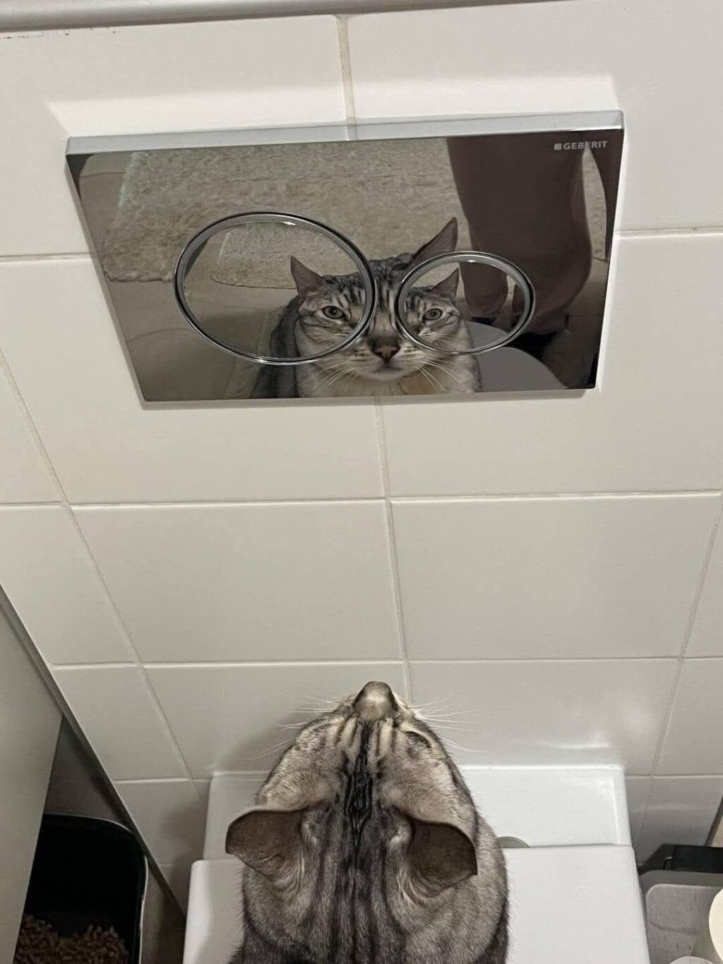 Picdump Nr. 4390 (Picdump.nl)