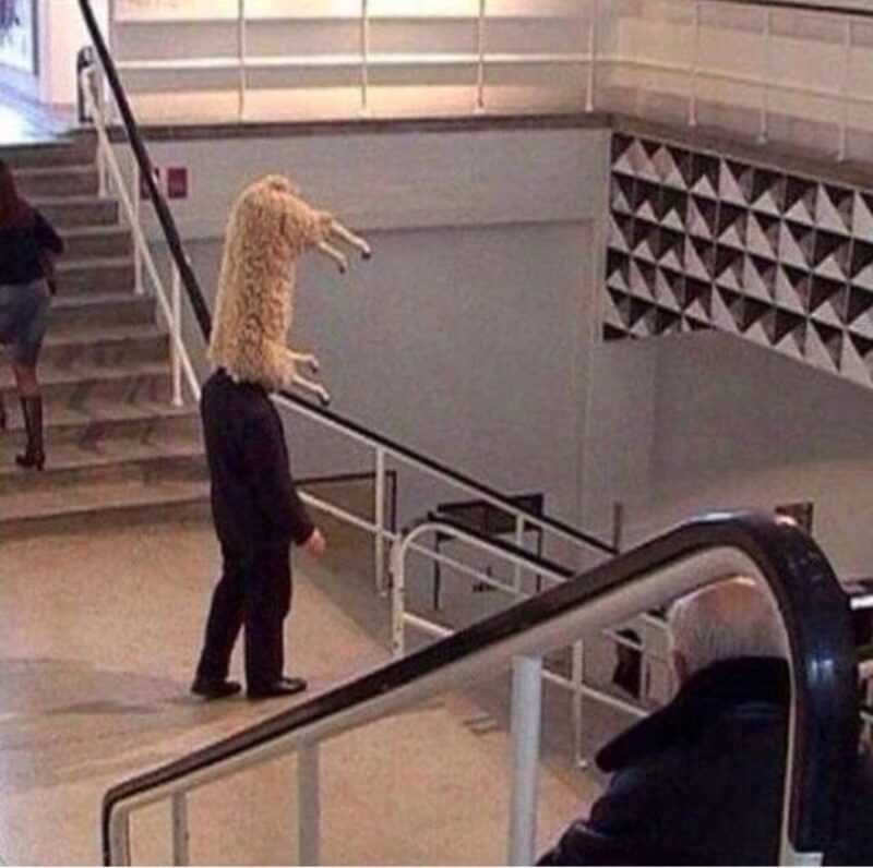 Picdump Nr. 4479 (Skoften.net)