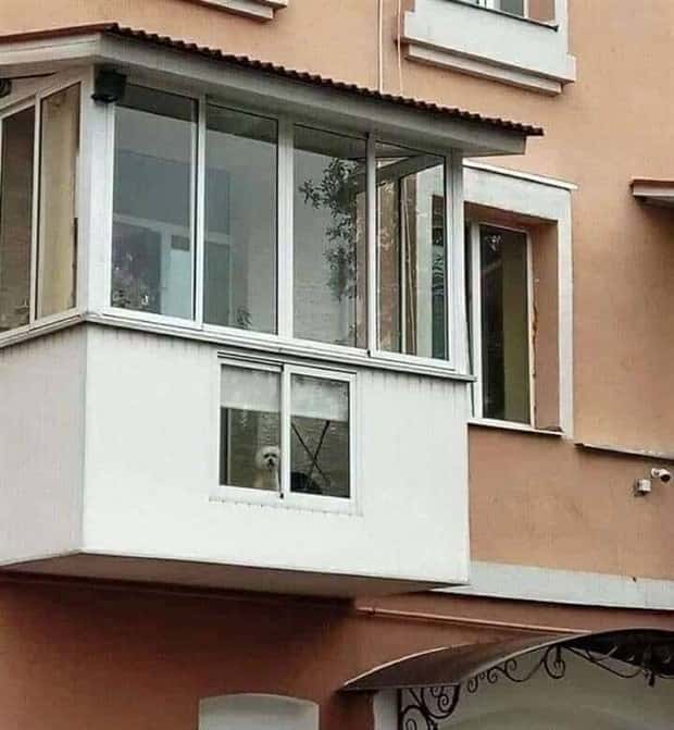 Picdump Nr. 1920 (Klyker.com)