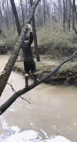 Gifdump Nr. 810 (TrendMutti.com)