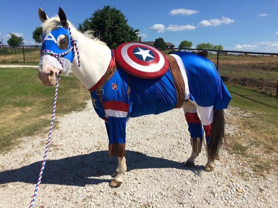 Picdump Nr. 260330 (Barnorama.com)