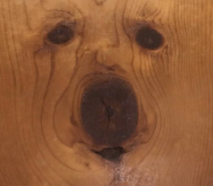 Picdump Nr. 260302 (Barnorama.com)