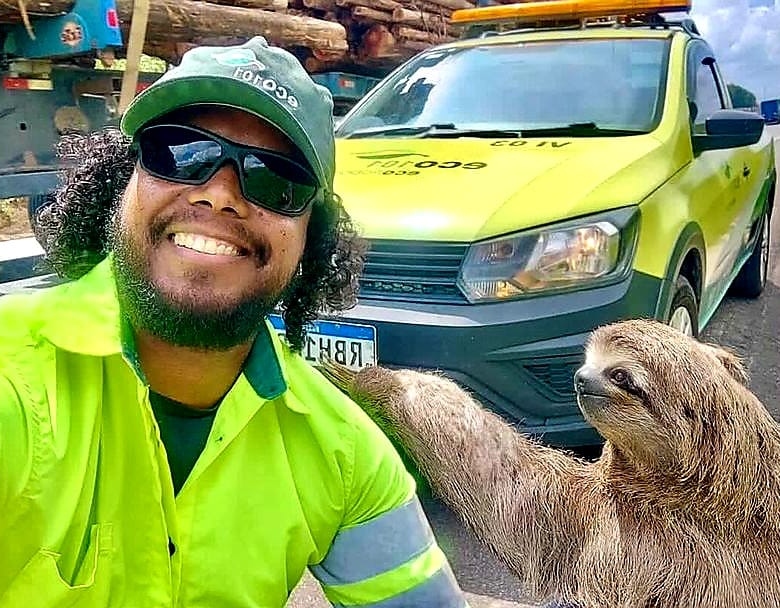 Picdump Nr. 260227 (Zefirka.net)