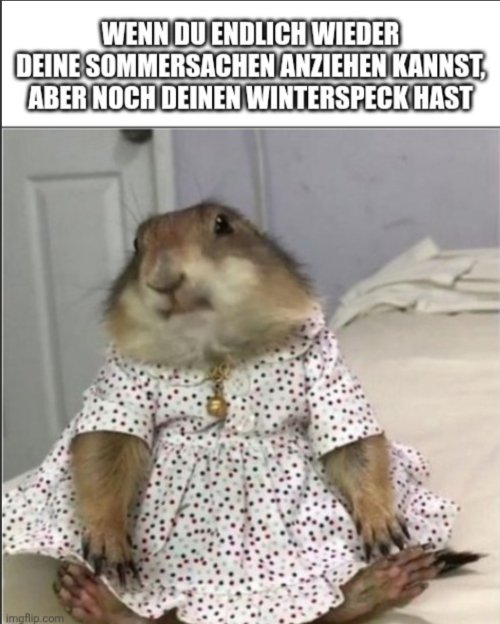 Picdump Nr. 862 (TrendMutti.com)