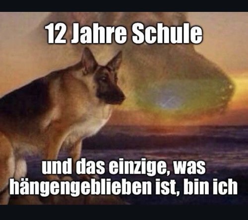 Picdump Nr. 859 (TrendMutti.com)