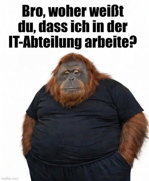 Picdump Nr. 860 (TrendMutti.com)