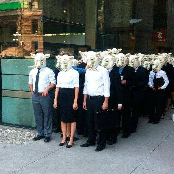 Picdump Nr. 260427 (Zefirka.net)