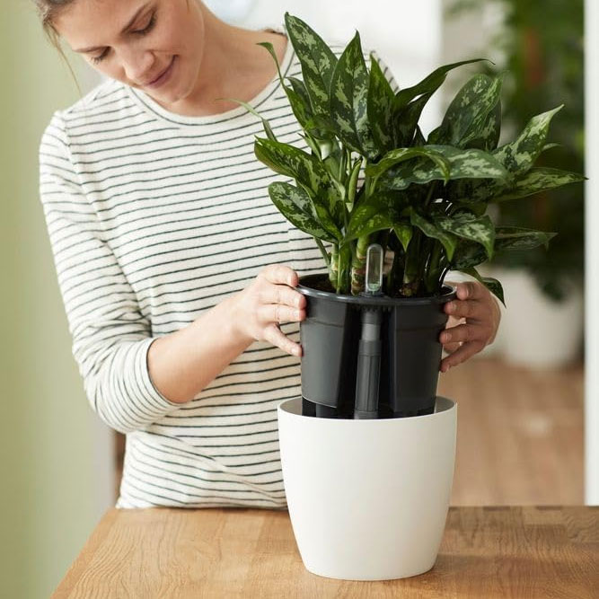 selbstbewässernder Untertopf