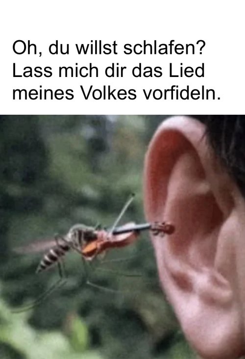 Picdump Nr. 870 (TrendMutti.com)