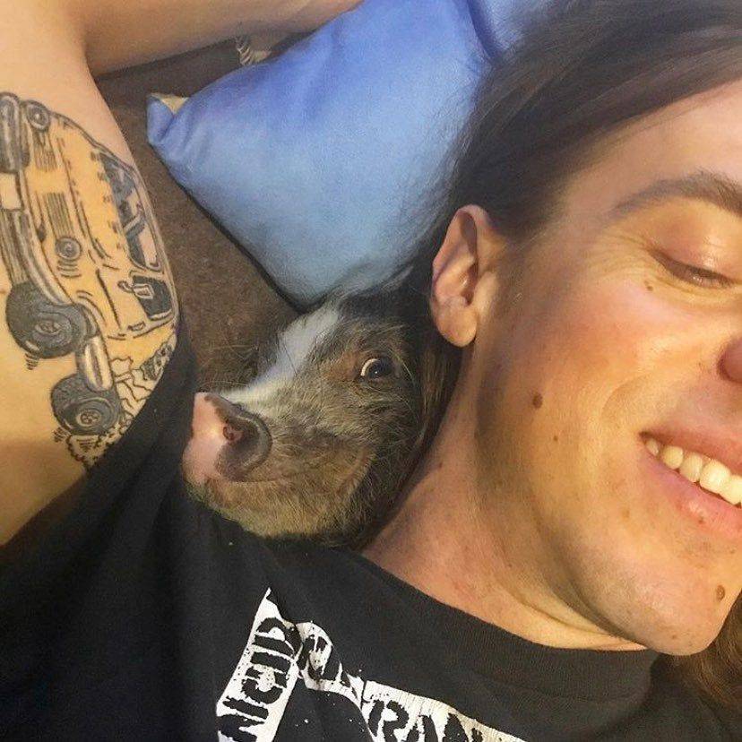 Picdump Nr. 260605 (Barnorama.com)