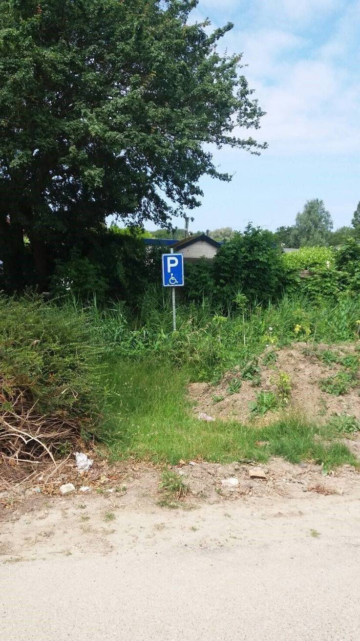 Picdump Nr. 260625 (Barnorama.com)