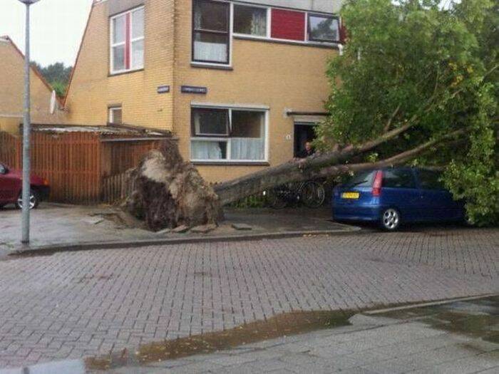 Picdump Nr. 260622 (Barnorama.com)