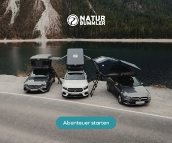 Starte dein Abenteuer!