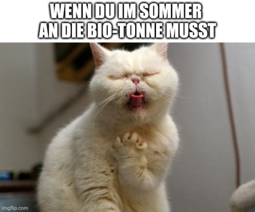 Picdump Nr. 872 (TrendMutti.com)