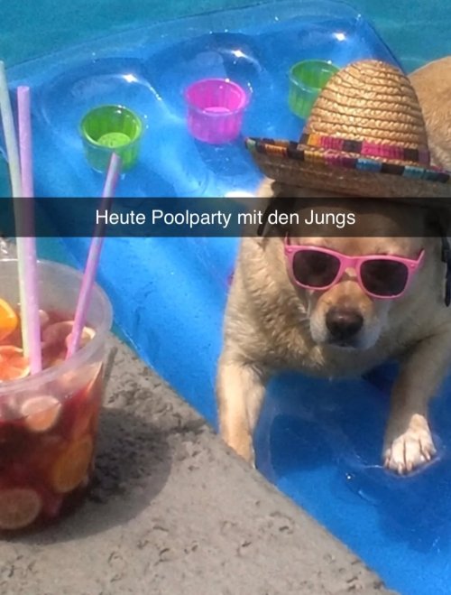 Picdump Nr. 875 (TrendMutti.com)
