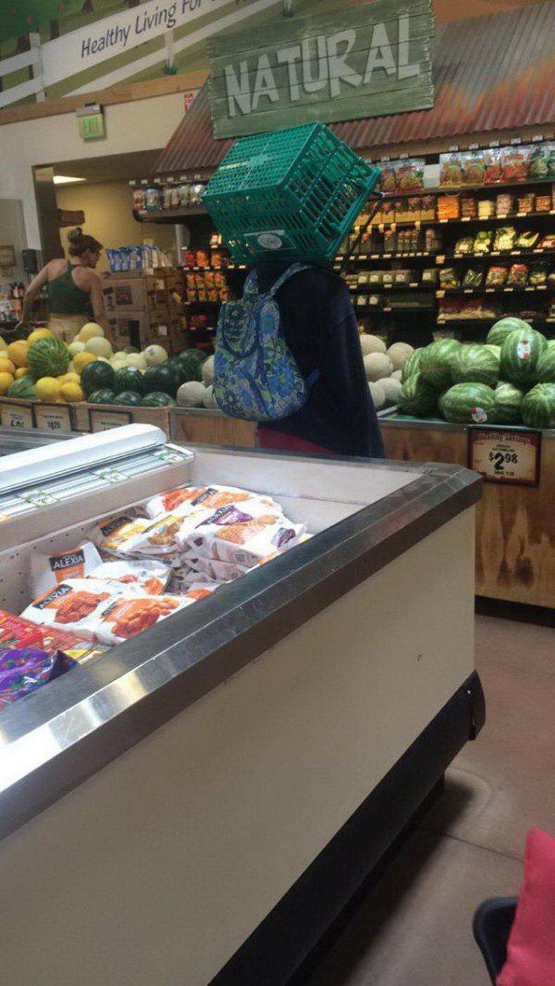 Picdump Nr. 260810 (Barnorama.com)