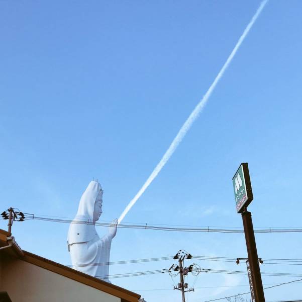 Picdump Nr. 260801 (Barnorama.com)