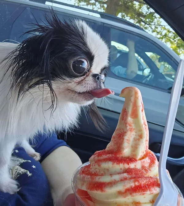 Picdump Nr. 260813 (Barnorama.com)