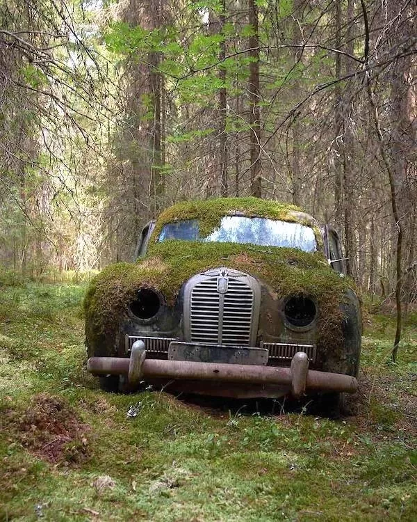 Picdump Nr. 1370 (Pauznet.com)