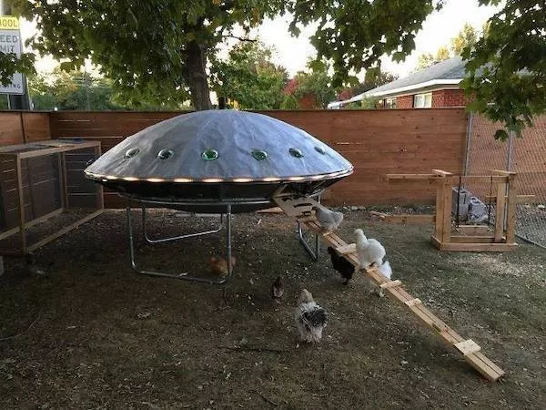Picdump Nr. 1388 (Pauznet.com)