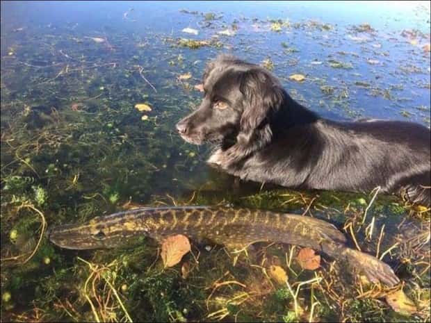 Picdump Nr. 2050 (Klyker.com)