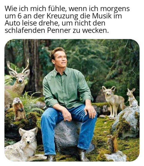Picdump Nr. 884 (TrendMutti.com)