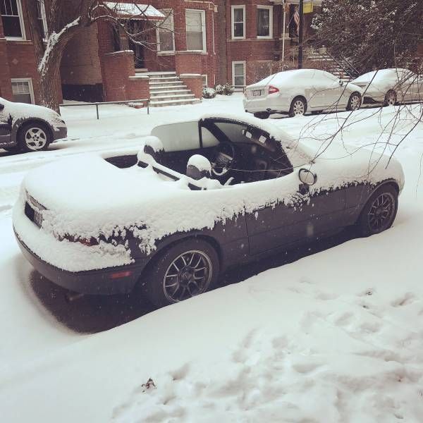 Picdump Nr. 260918 (Barnorama.com)