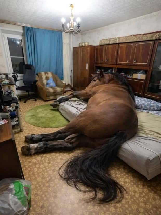 Picdump Nr. 2065 (Klyker.com)