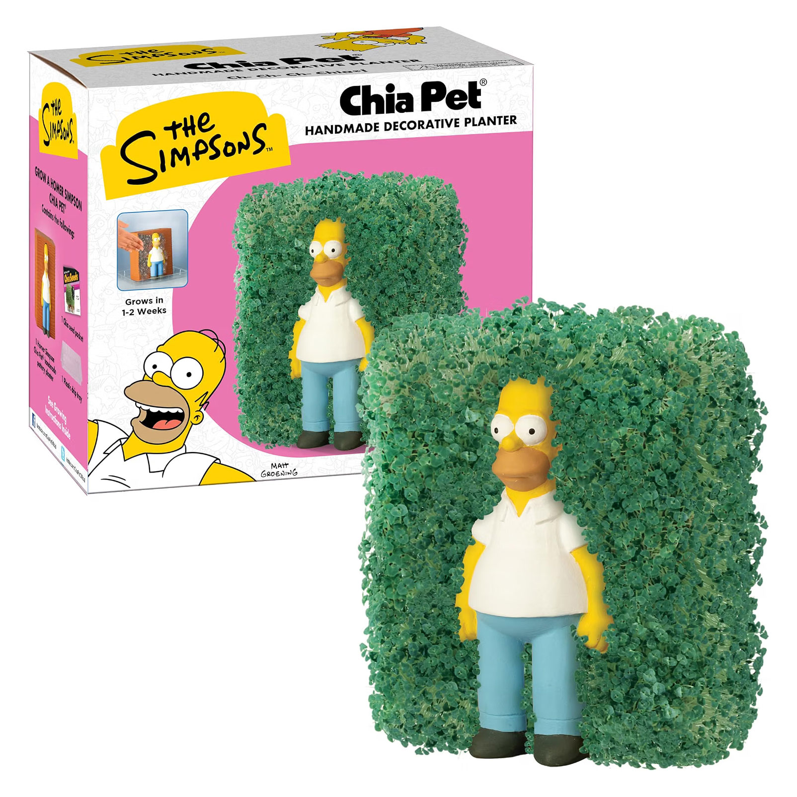 Simpsons-Meme als echte Pflanze