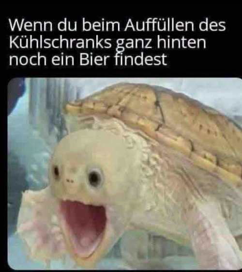 Picdump Nr. 886 (TrendMutti.com)