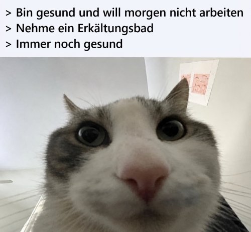 Picdump Nr. 888 (TrendMutti.com)