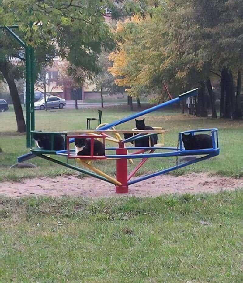 Picdump Nr. 261008 (Pleated-Jeans.com)