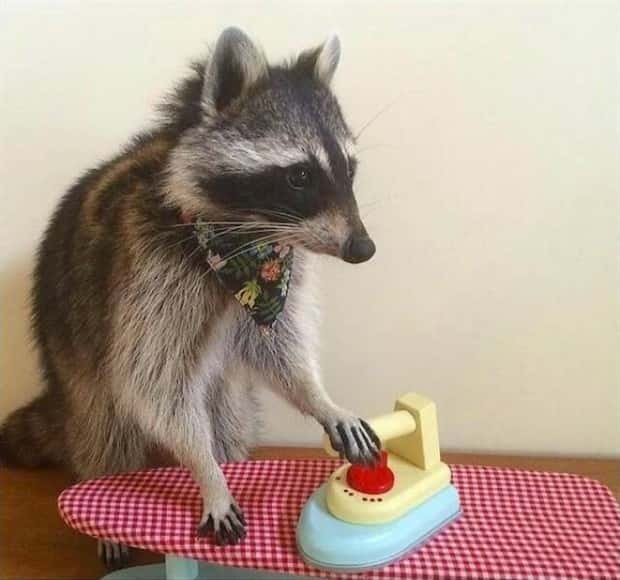 Picdump Nr. 2090 (Klyker.com)